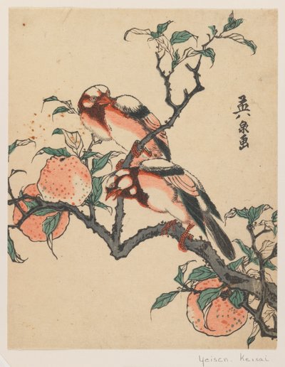Granadas y pájaros de Keisai Eisen